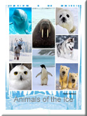 Animals of Ice