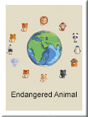 Endagered Animals