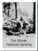 Slovak National Uprising