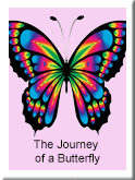 The Journey of a Butterfly