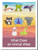 Animal Wear