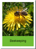 Beekeeping