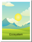 Ecosystem