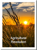 Agricultural Revolution